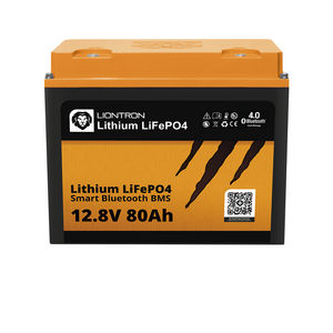 batteria LiFePO4