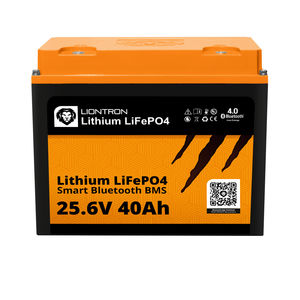 batteria LiFePO4