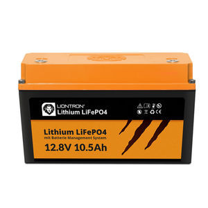batteria LiFePO4