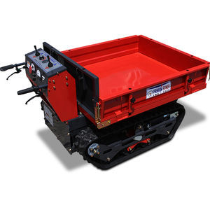 camion cingolato
