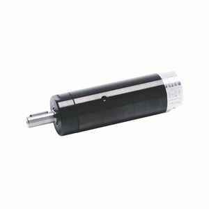 motore pneumatico a paletta