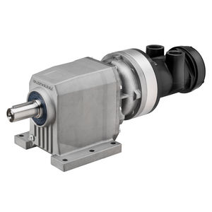 motore pneumatico a ingranaggi 1