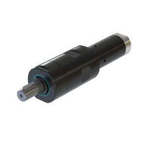 motore pneumatico a paletta 1