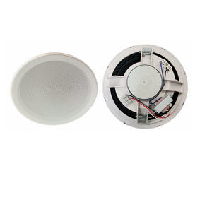 altoparlante da soffitto 1