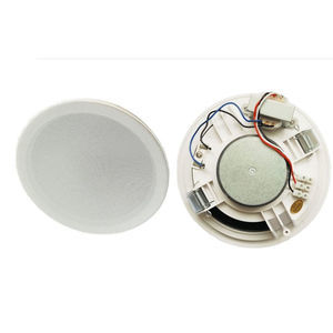 altoparlante da soffitto 1
