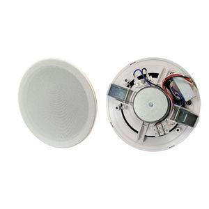 altoparlante da soffitto 1