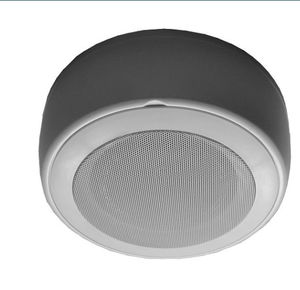 altoparlante da soffitto 1