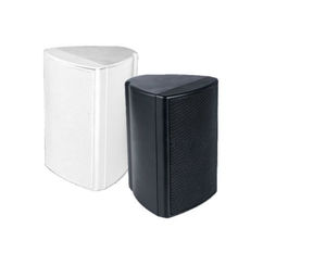 altoparlante da soffitto 1