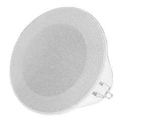 altoparlante da soffitto 1
