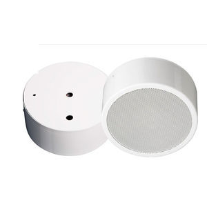 altoparlante da soffitto 1