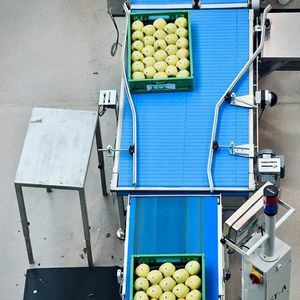 Linea di smistamento e alimentazione
