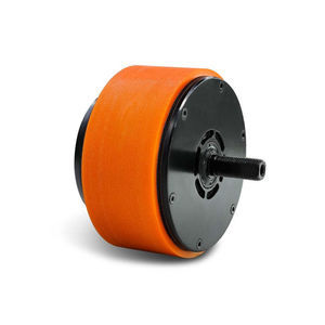 motore ruota brushless
