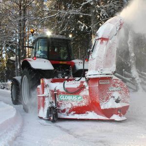 fresa da neve 1