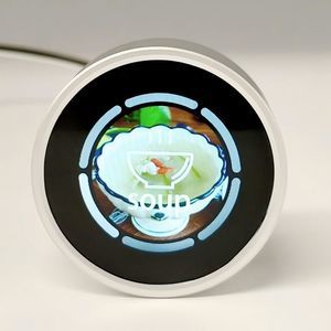 modulo di visualizzazione IPS 1