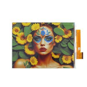 display E-Paper