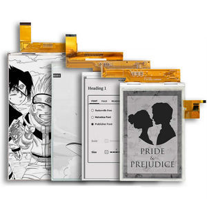 display E-Paper 1