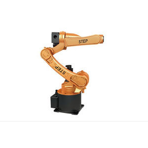 robot articolato 1