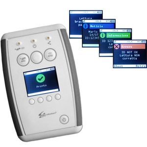 sistema RFID portatile