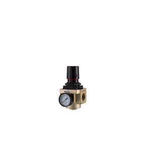filtro regolatore ad aria 1