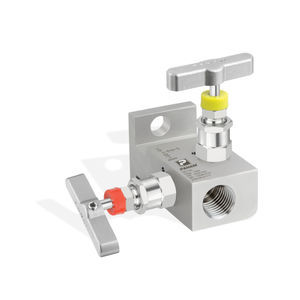 manifold a 2 vie 1