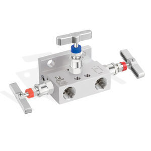 manifold a 3 vie