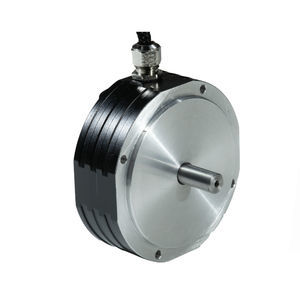 motore brushless 1