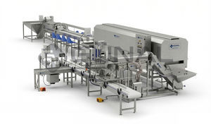 linea di produzione di olio d'oliva