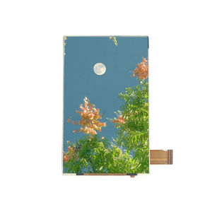 modulo di visualizzazione TFT LCD