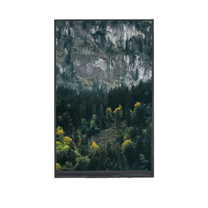 modulo di visualizzazione TFT LCD
