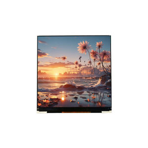 modulo di visualizzazione LCD