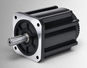 motore brushless 1