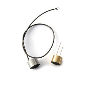 sonda di frequenza 1