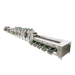 linea di trasformazione per patate