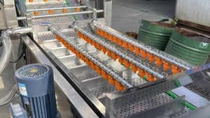 lavatrice agroalimentare per verdura