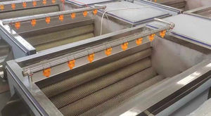 lavatrice agroalimentare per verdura