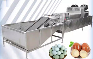 lavatrice agroalimentare per uova