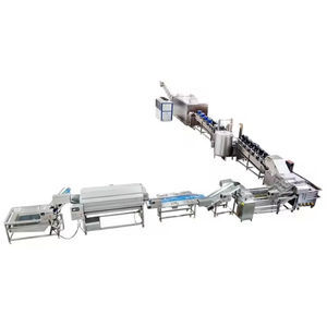 linea di produzione di patatine fritte