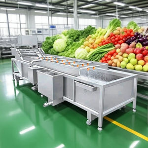lavatrice agroalimentare per verdura