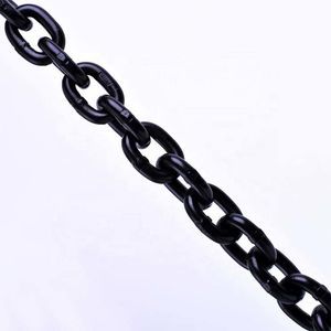 catena di sollevamento in acciaio 1