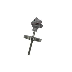 sonda di temperatura RTD