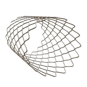 polvere per stampante 3D di cromo 1