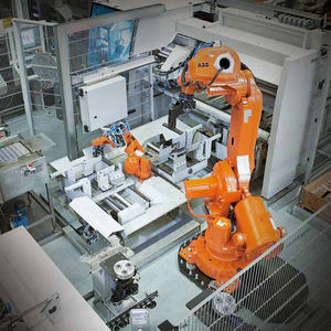 robot articolato / di pallettizzazione / di carico / di scarico
