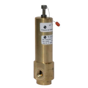 valvola di sicurezza a gas