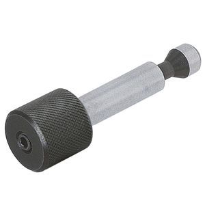 coppiglia standard