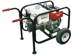 centralina idraulica con motore diesel