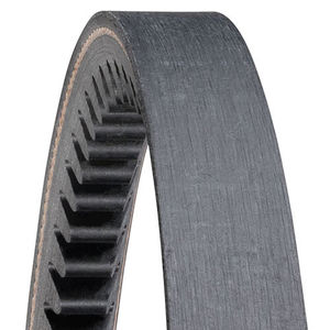 cinghia trapezoidale