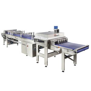 taglierina per pane industriale automatica