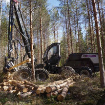 abbattitrice forestale cingolata