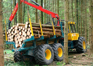 caricatore forestale