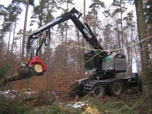 abbattitrice forestale cingolata